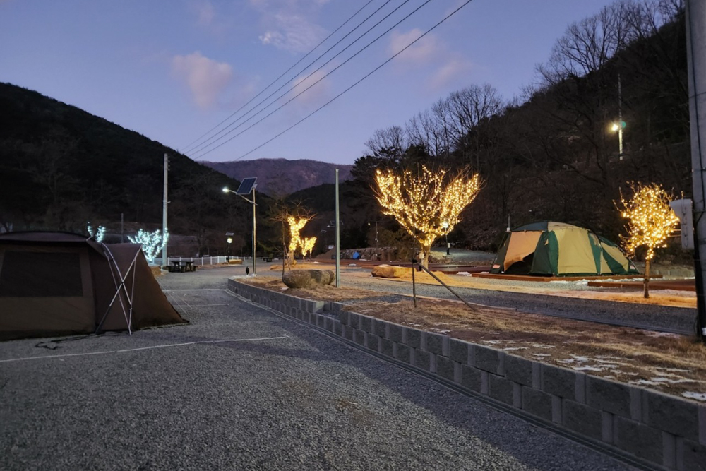 별품은숲속