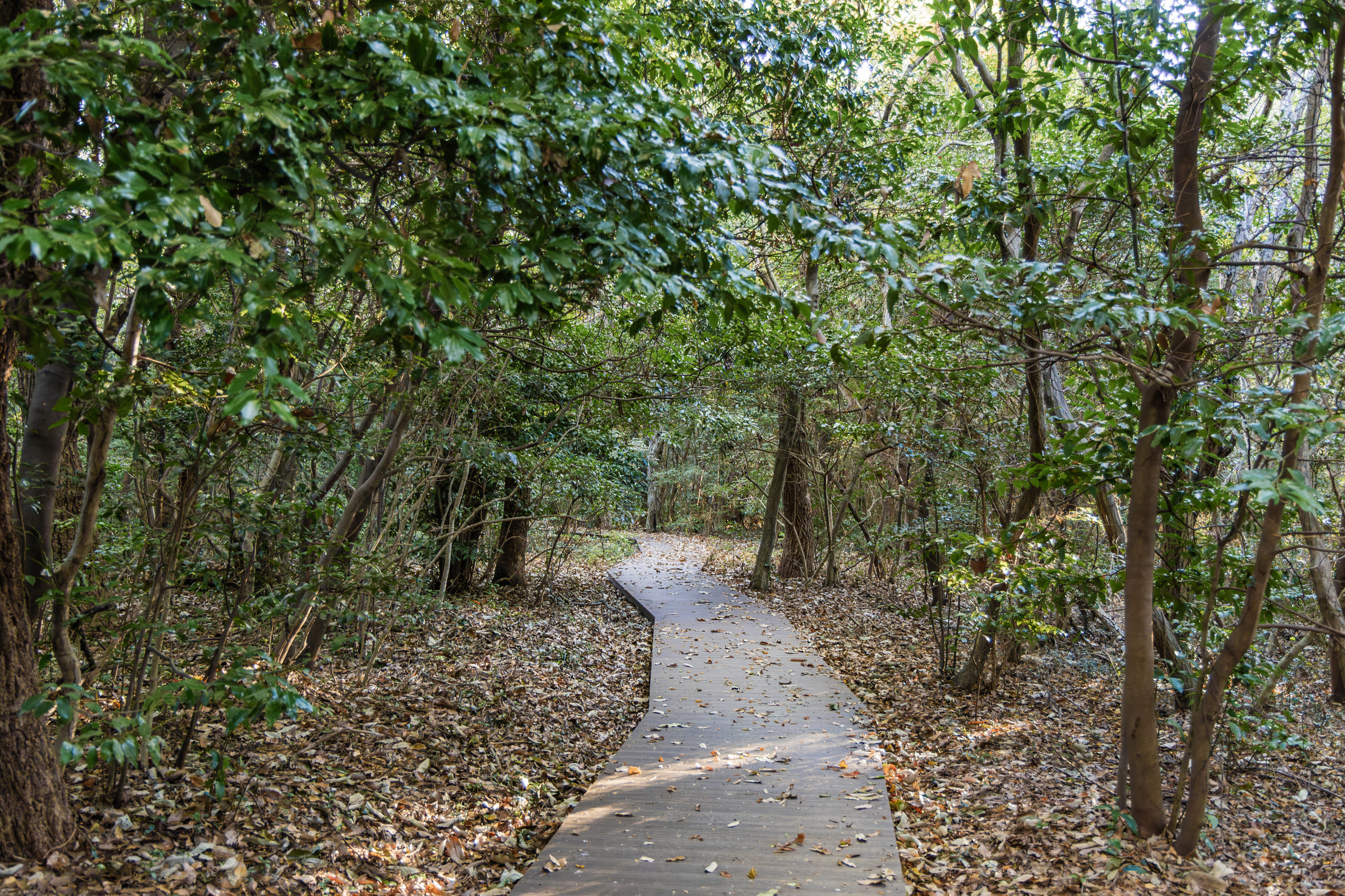 다도해해상국립공원 구계등야영장
