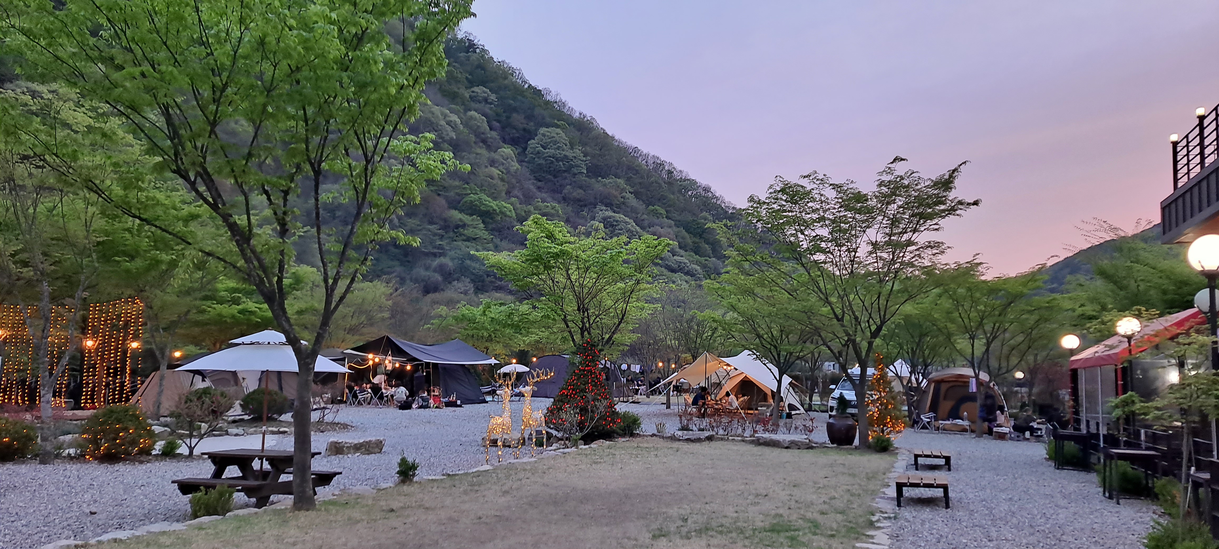숲스토리캠핑장
