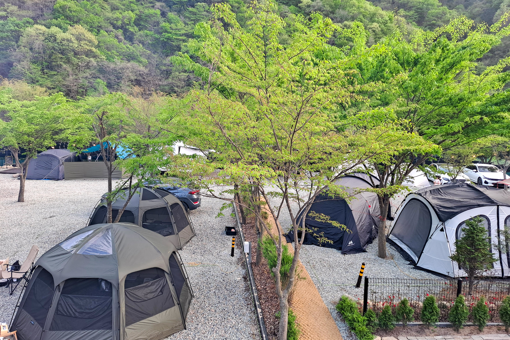 숲스토리캠핑장