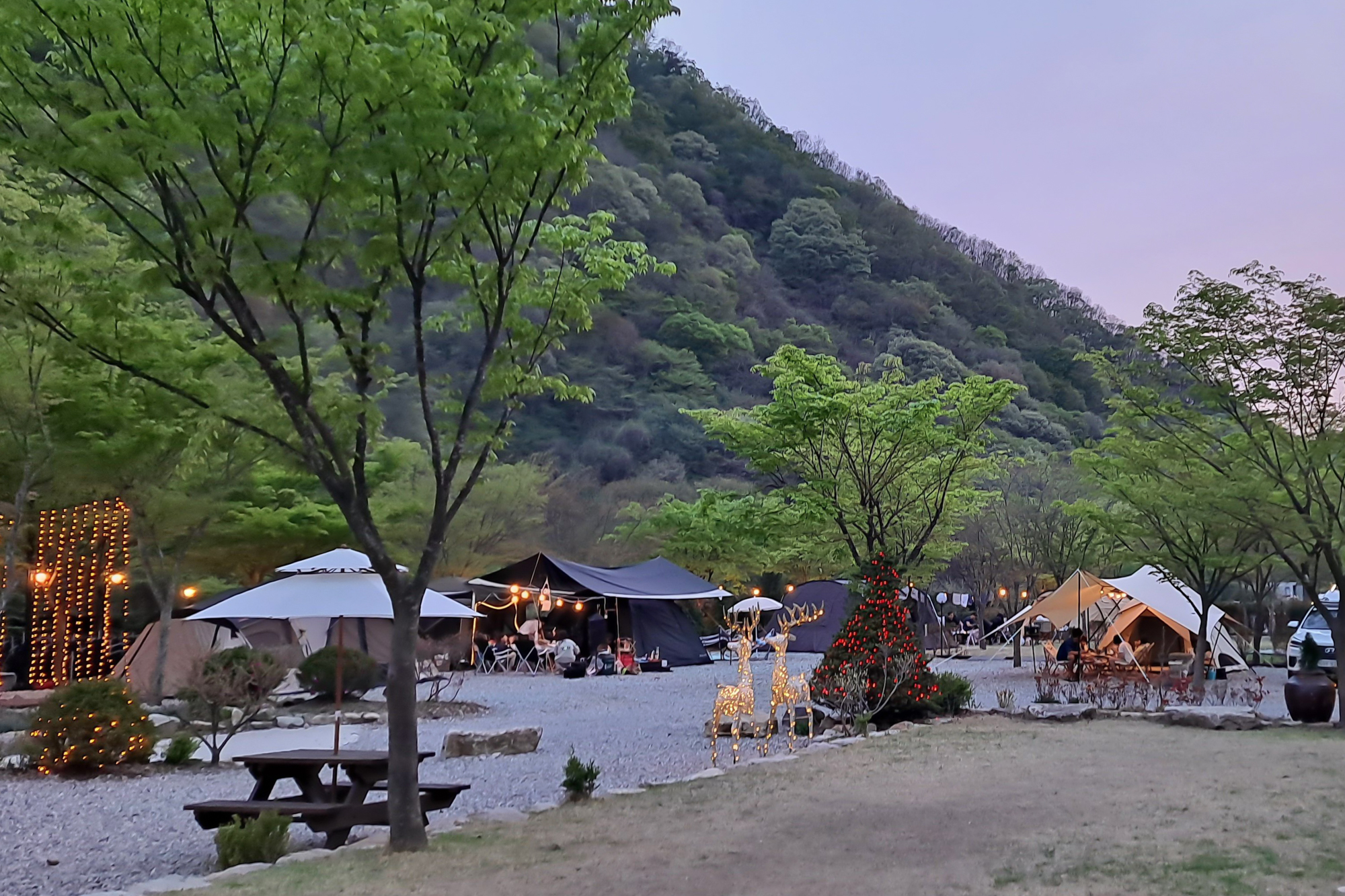 숲스토리캠핑장
