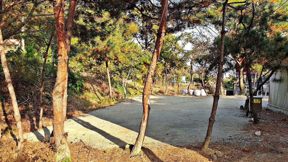 산우물 북 캠핑장