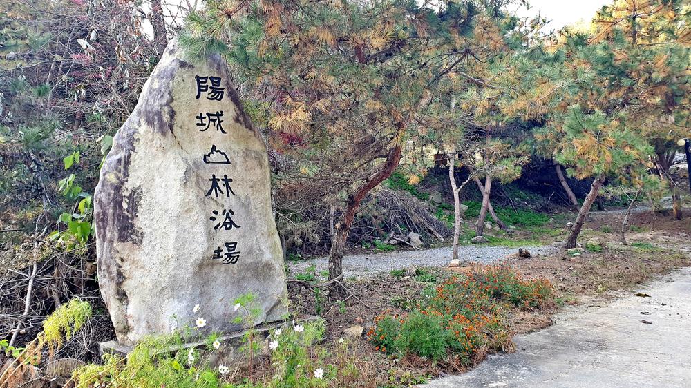 산우물 북 캠핑장