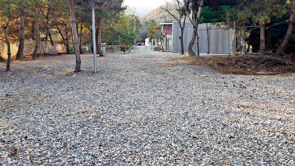 산우물 북 캠핑장