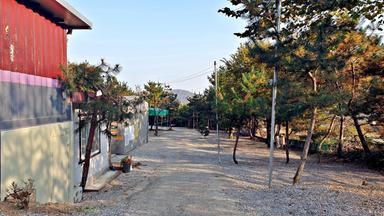 캠핑장소개 이미지