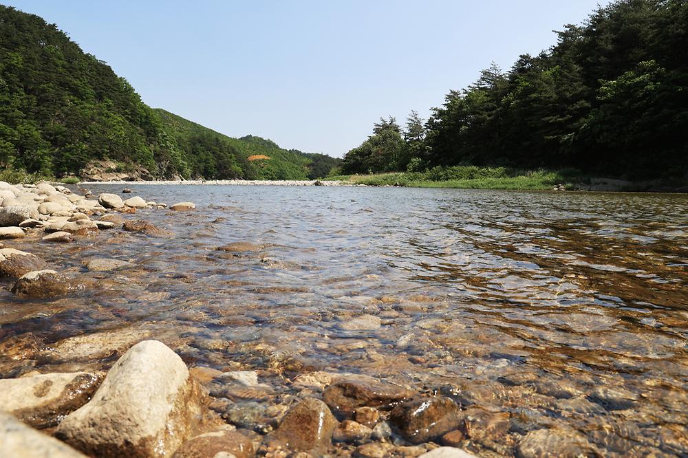 밴프 야영장