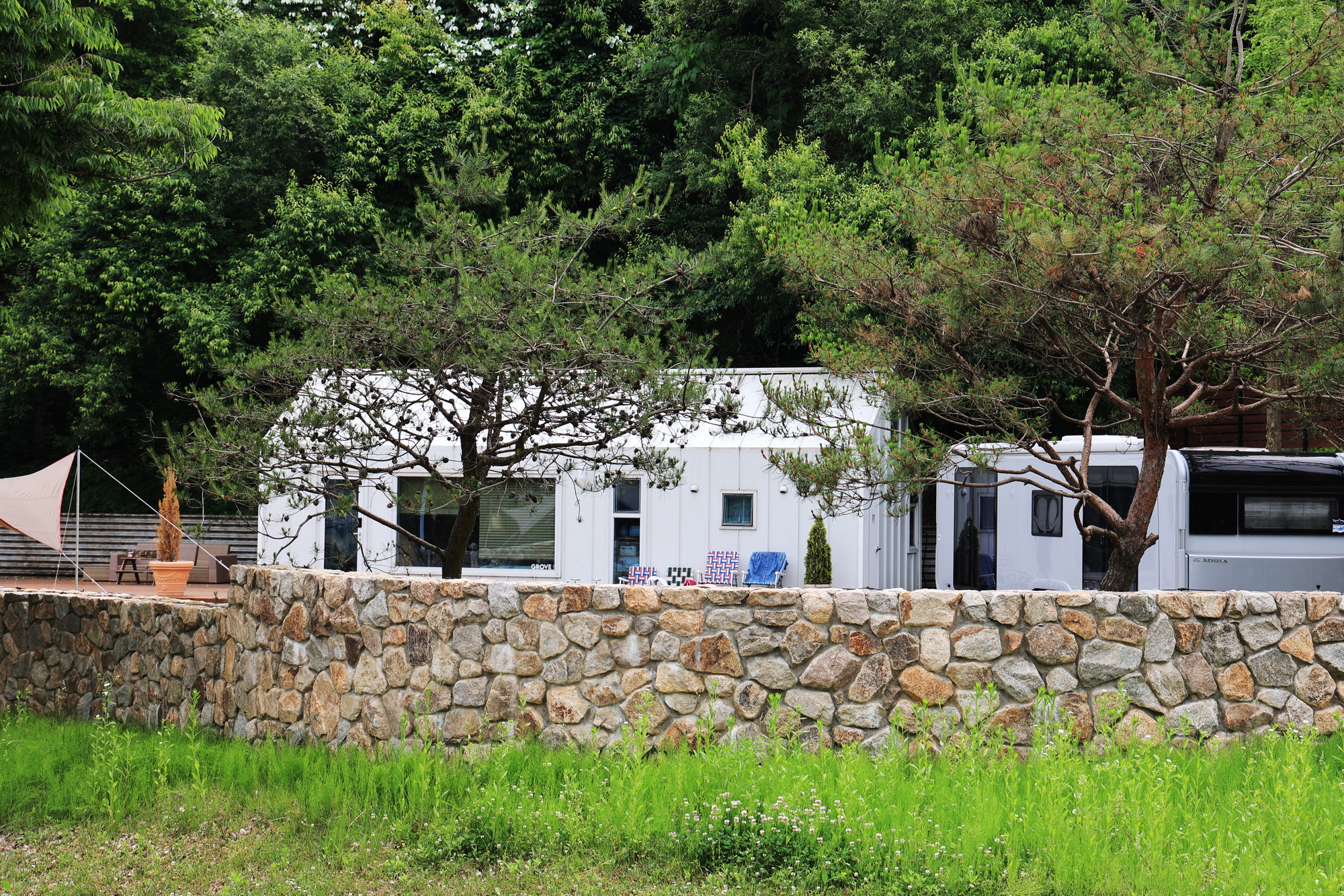 그로브