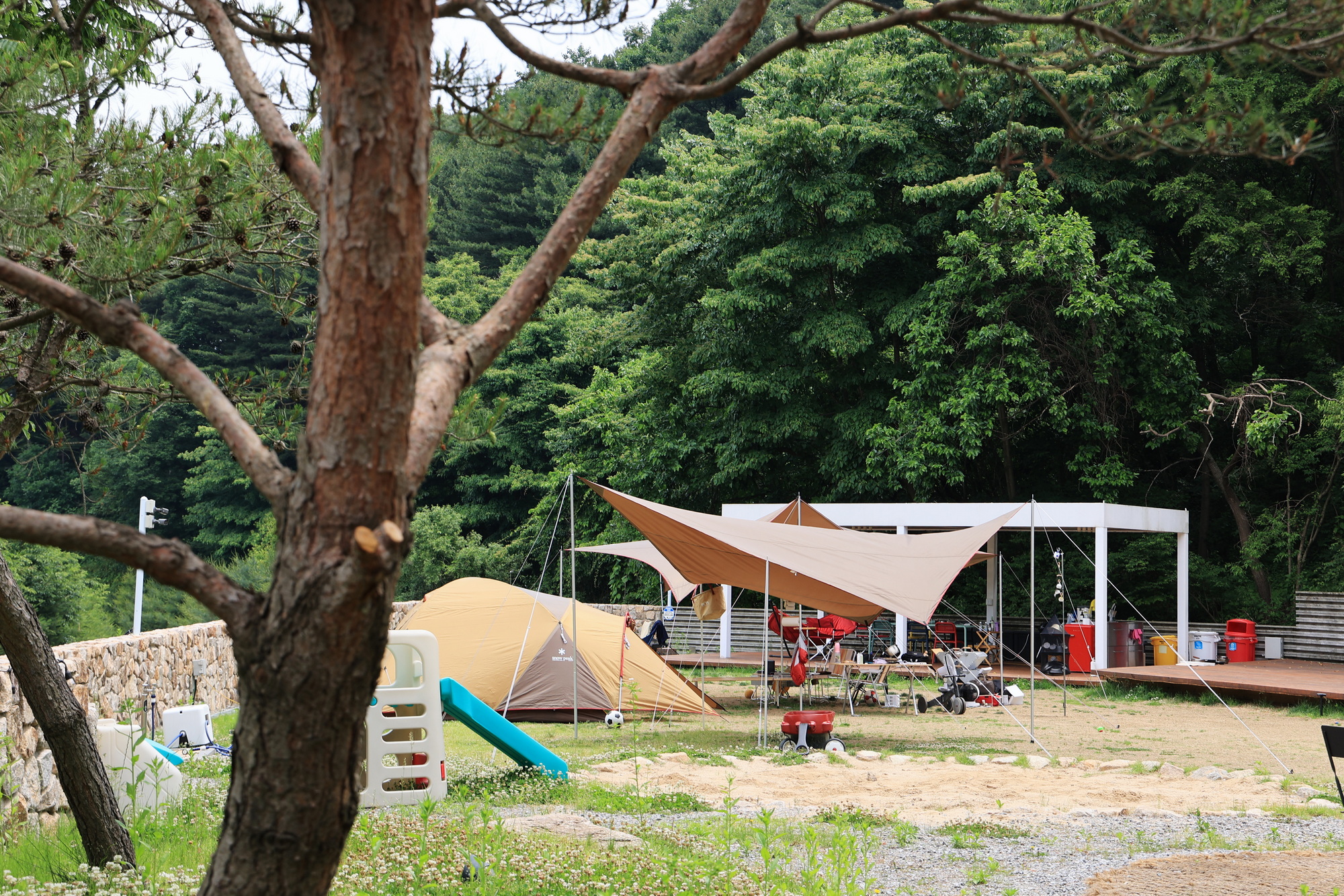 그로브