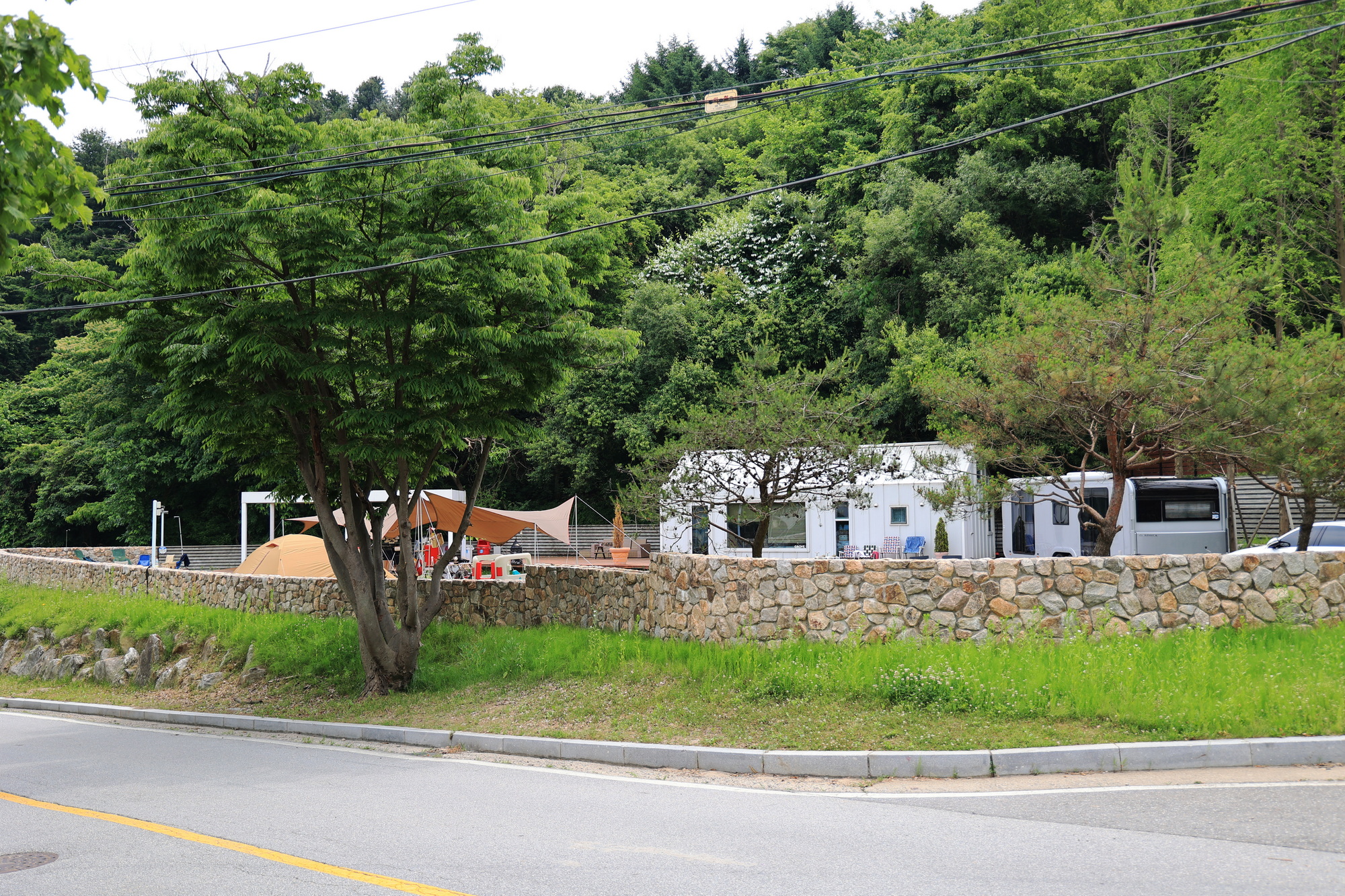 그로브
