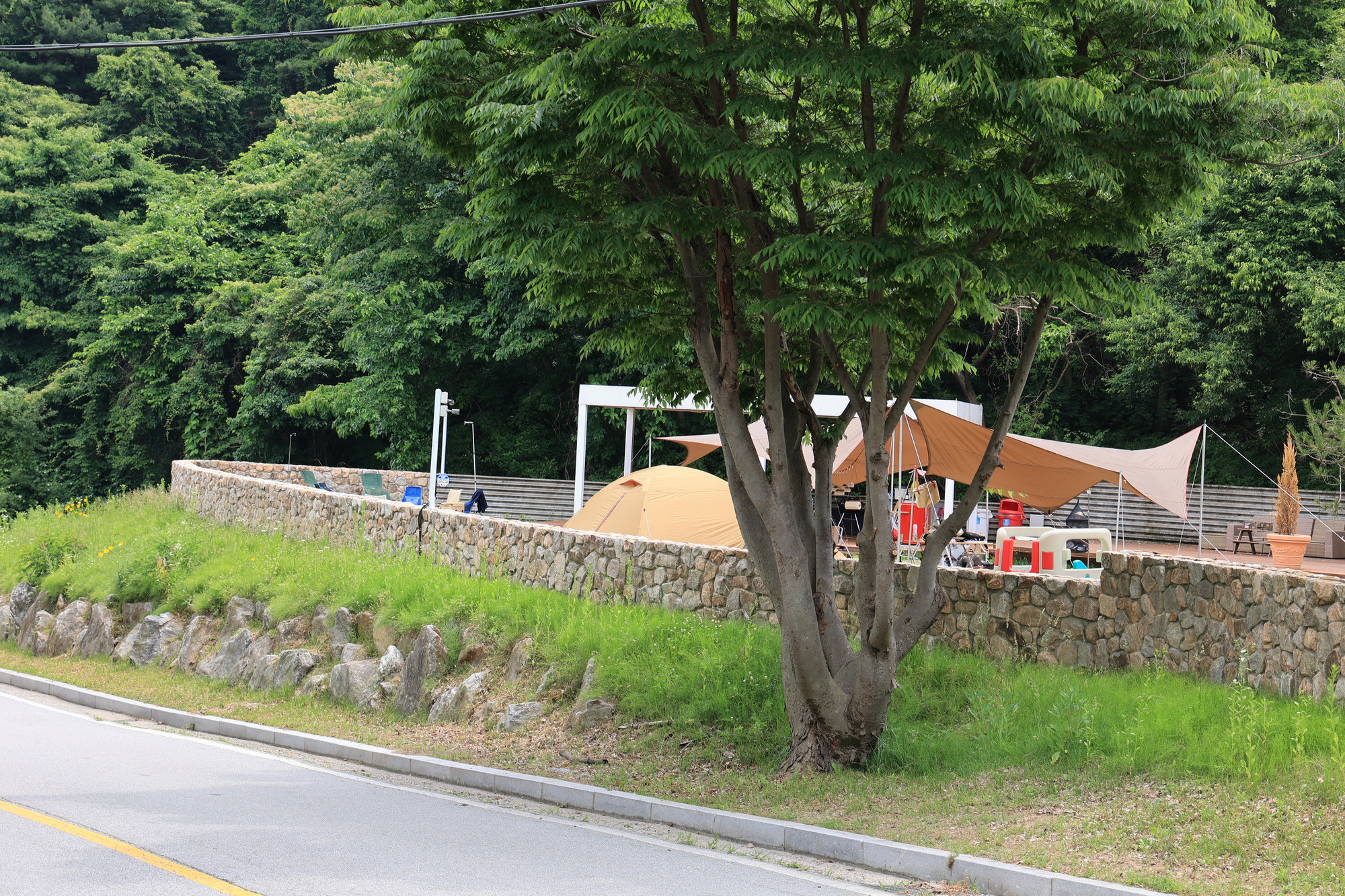 그로브