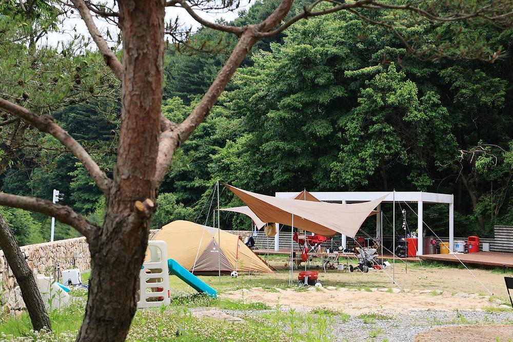그로브