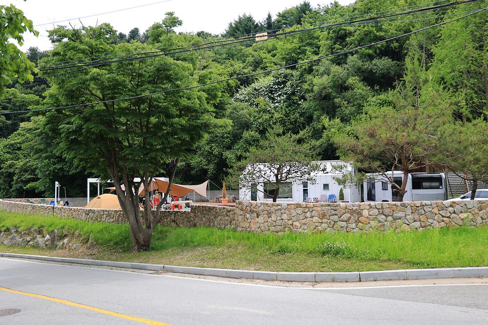 그로브