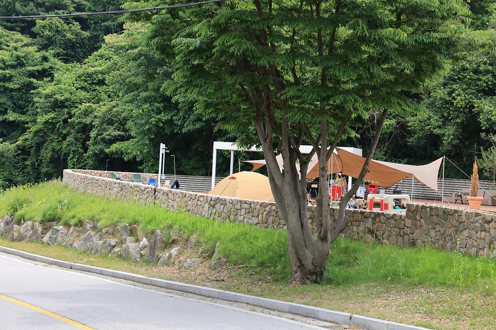 그로브