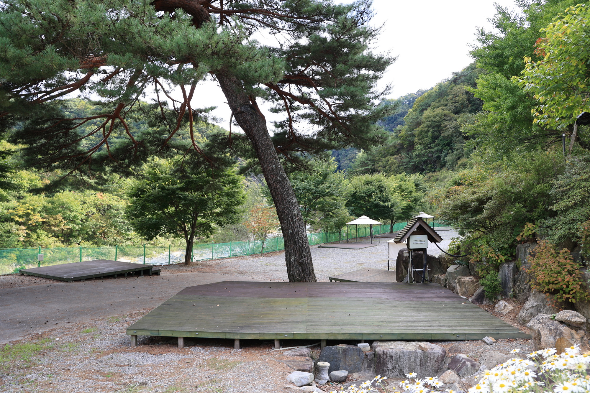 정선 달별빛 캠핑장