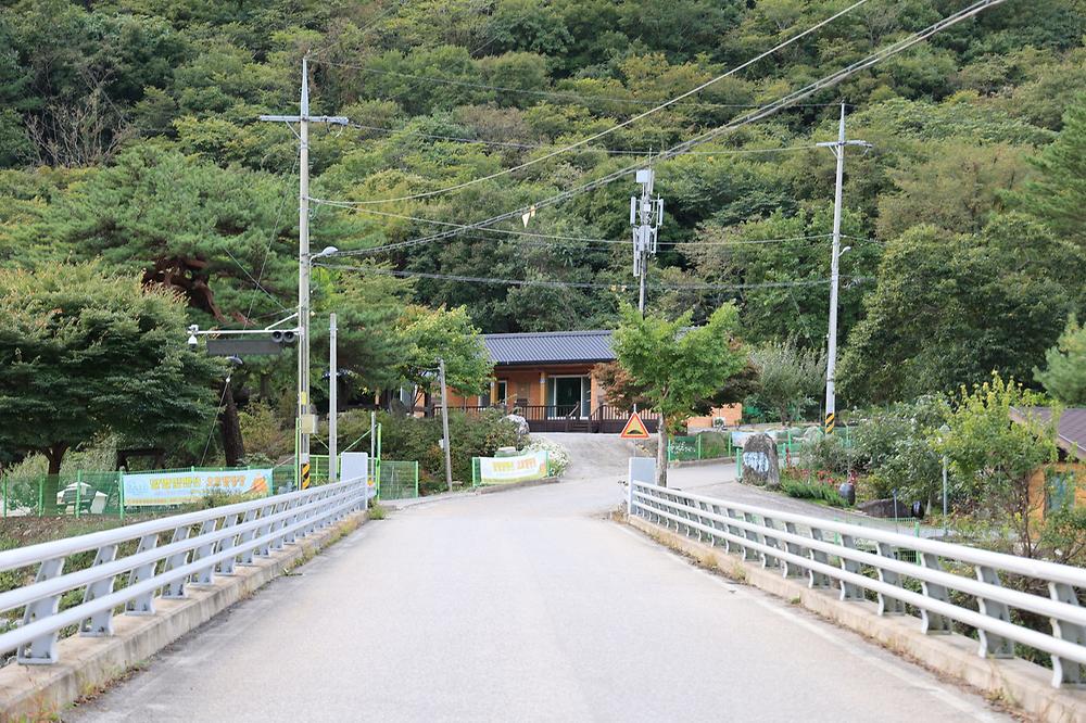 정선 달별빛 캠핑장