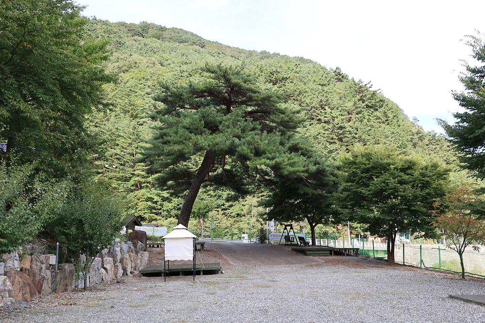 정선 달별빛 캠핑장
