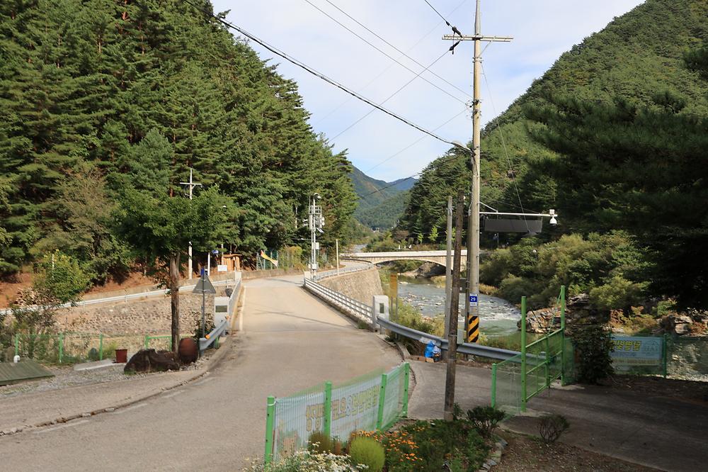 정선 달별빛 캠핑장