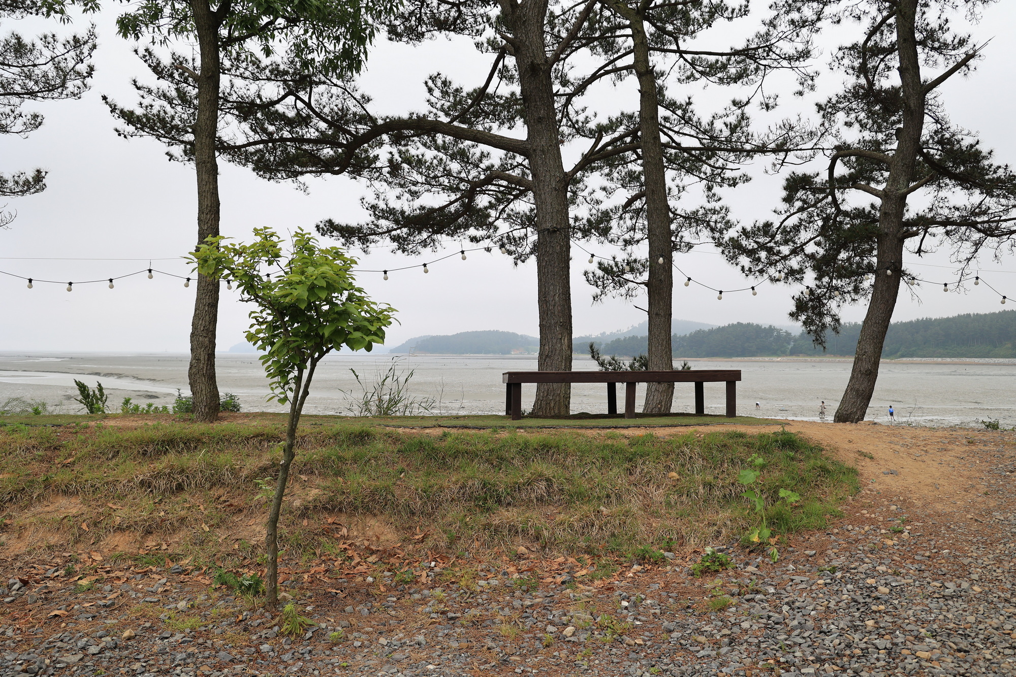 체로키캠핑장 (Cherokeycamp)