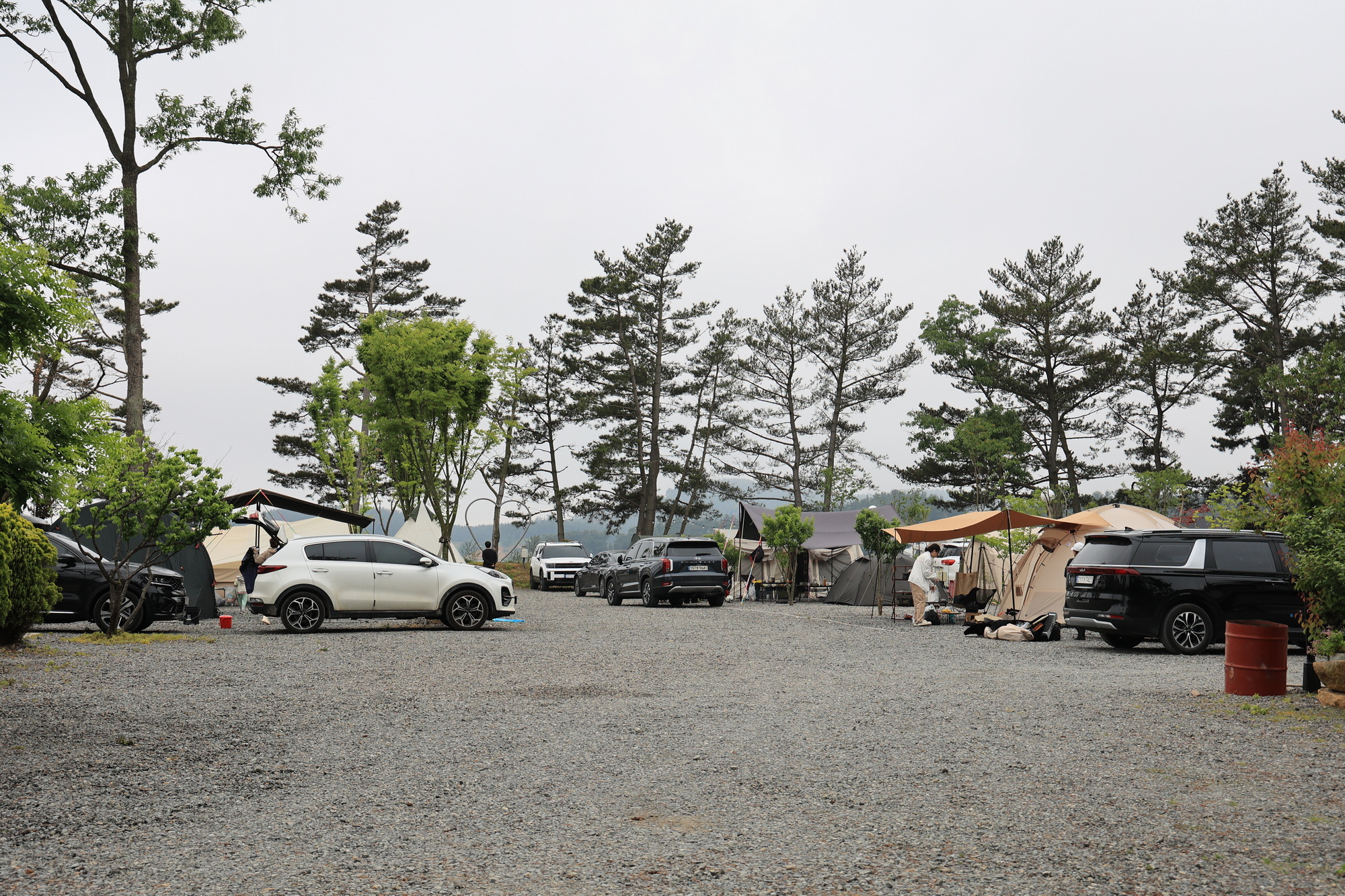 체로키캠핑장 (Cherokeycamp)
