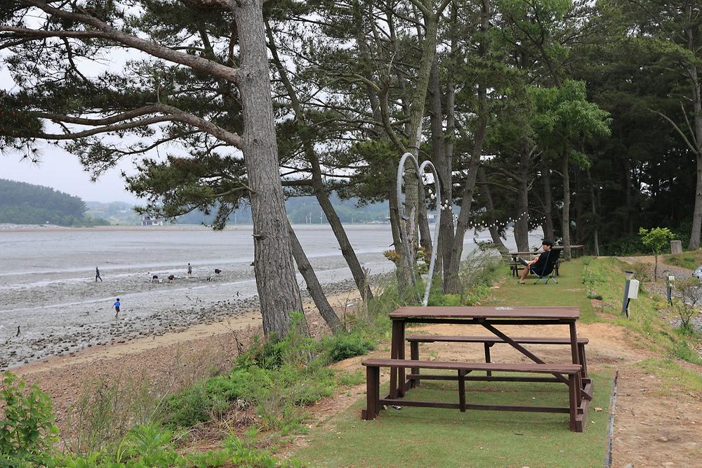 체로키캠핑장 (Cherokeycamp)