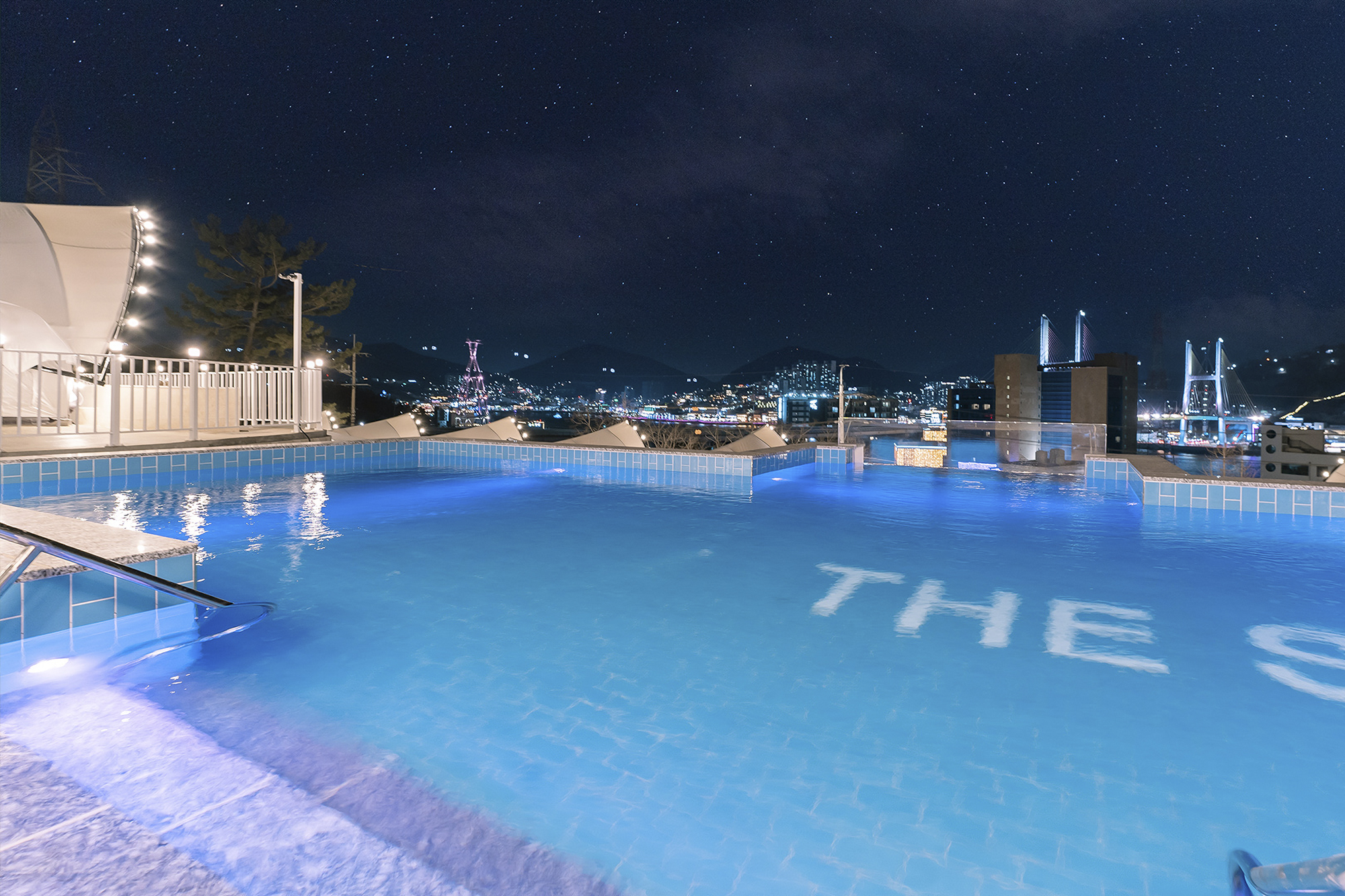 The Stay 309