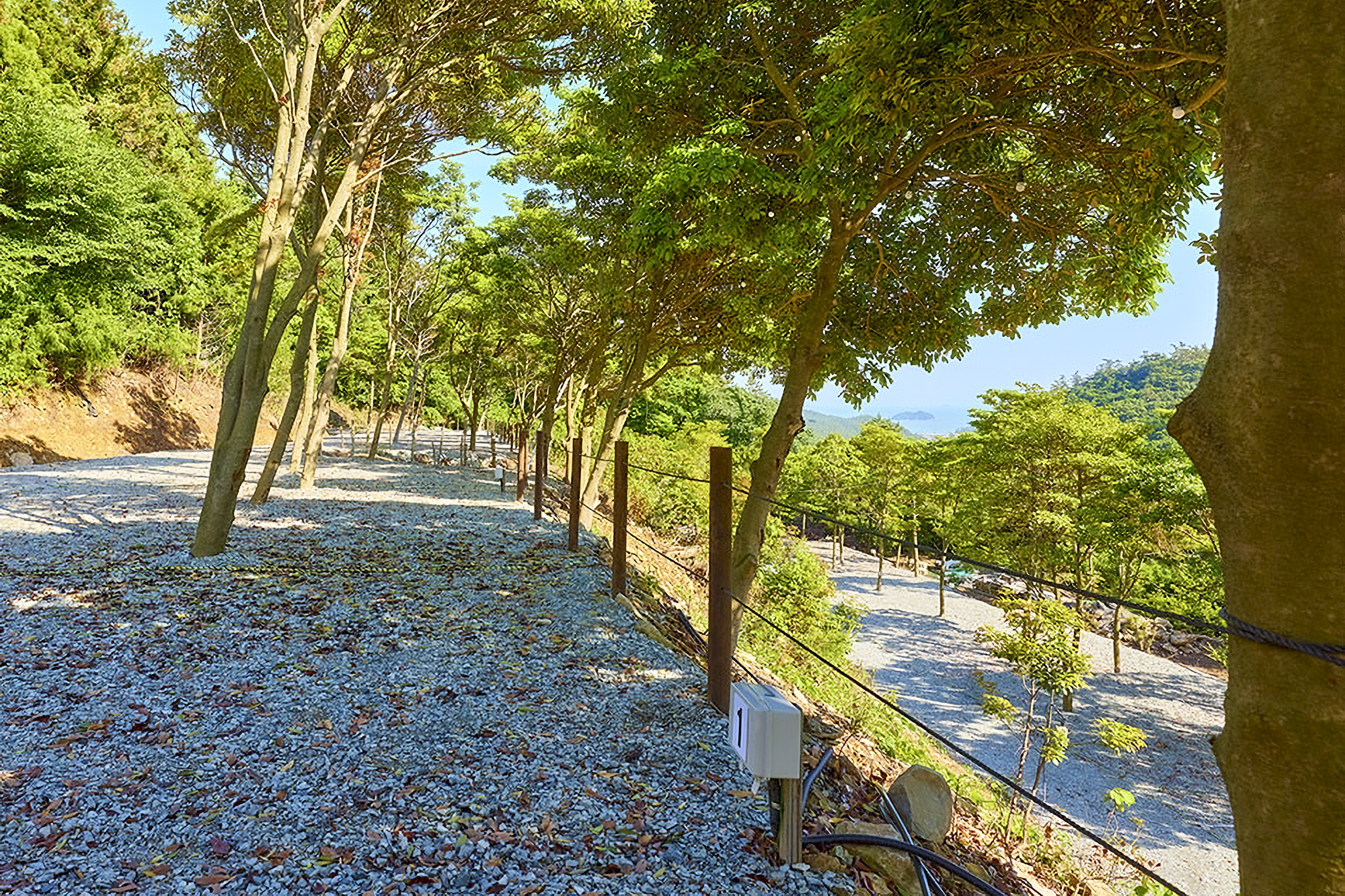 진도 카멜리아 힐즈 오토캠핑장