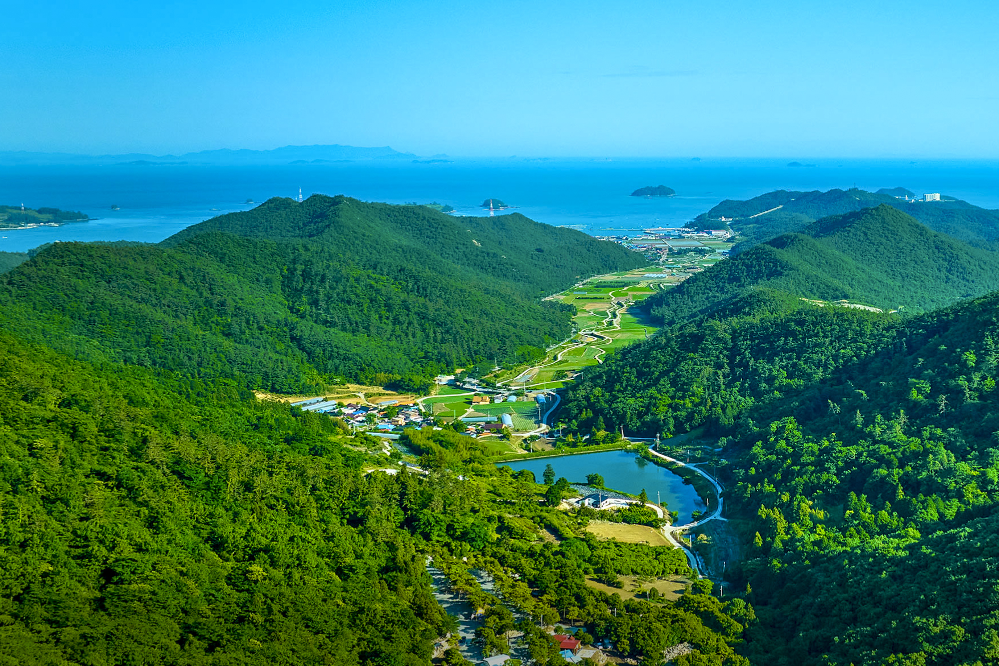 진도 카멜리아 힐즈 오토캠핑장