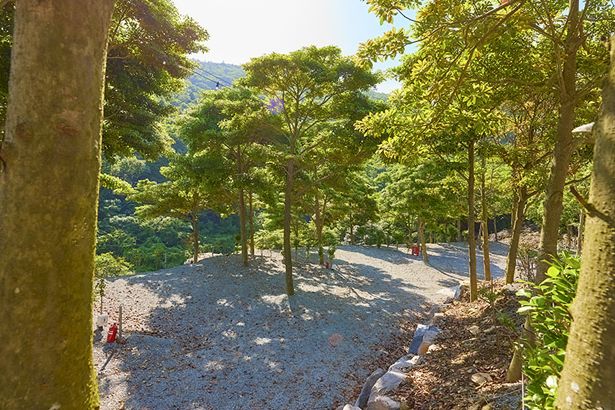 진도 카멜리아 힐즈 오토캠핑장
