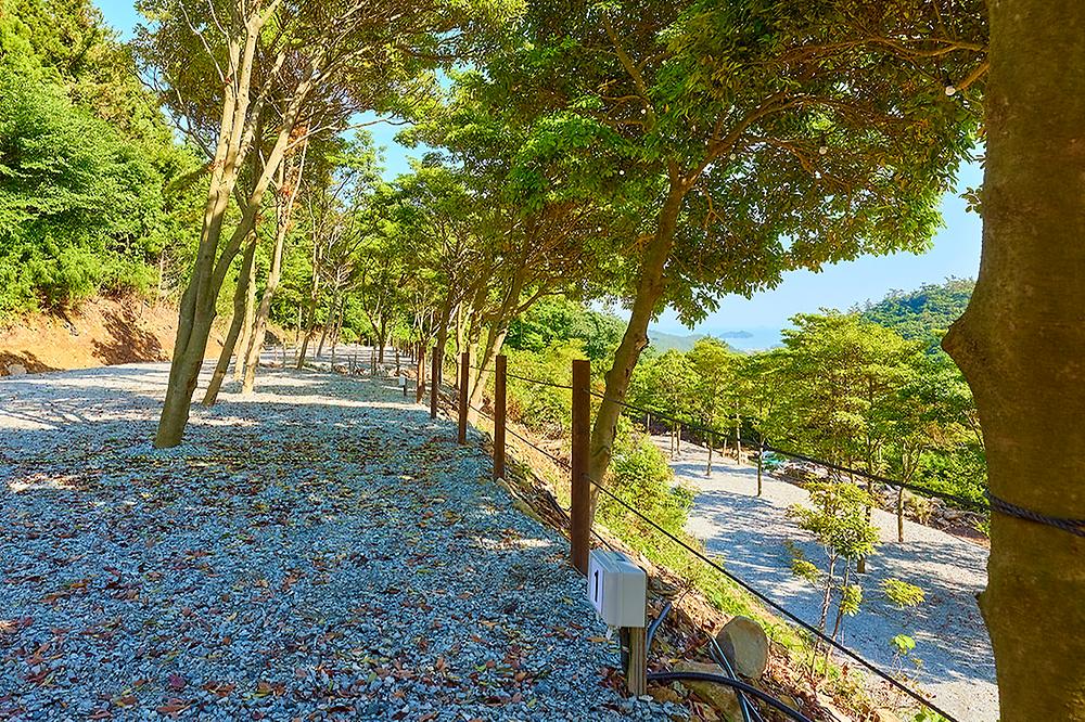 진도 카멜리아 힐즈 오토캠핑장