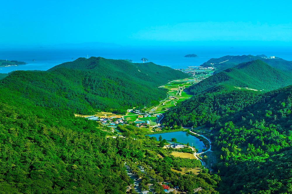 진도 카멜리아 힐즈 오토캠핑장