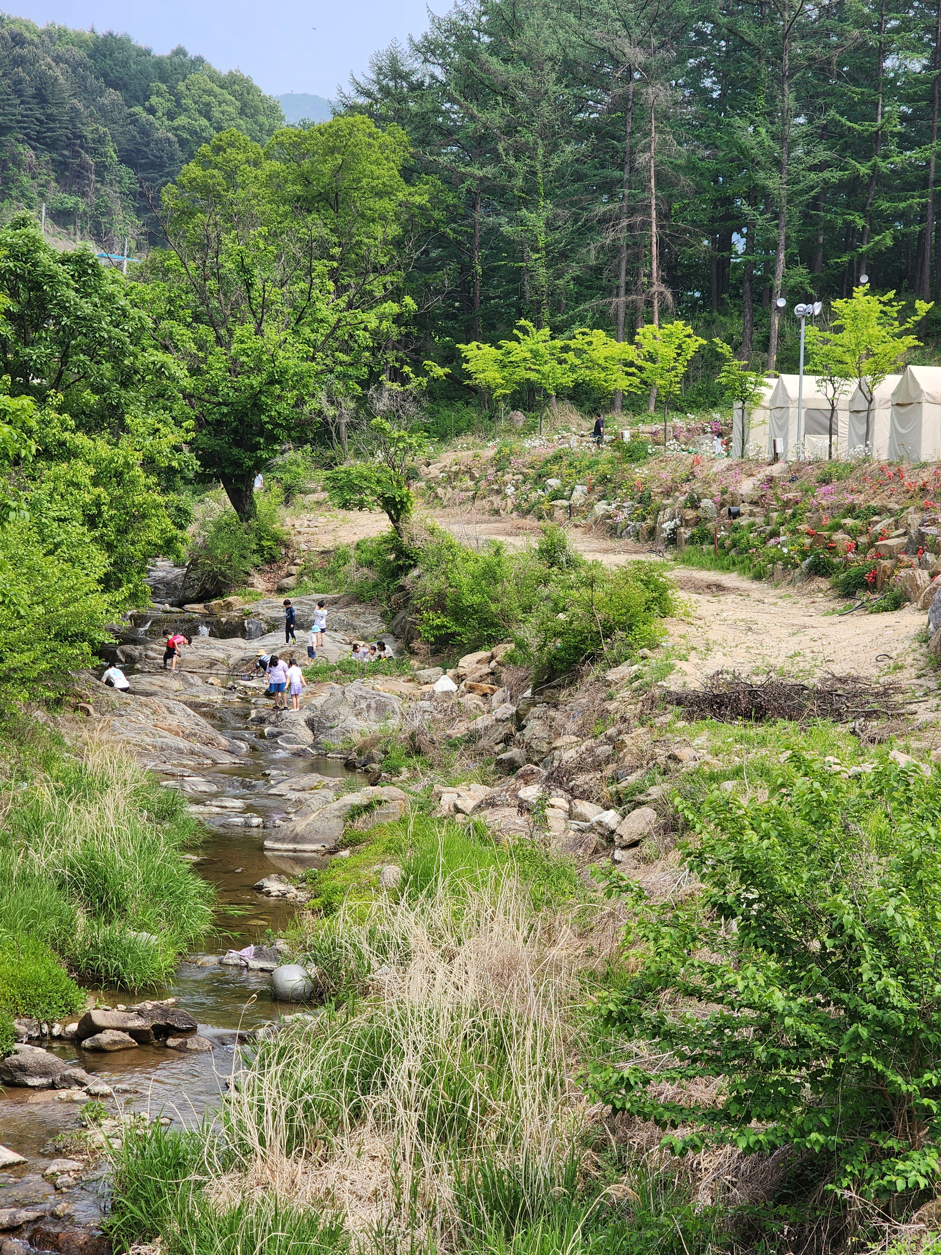 코알라캠핑장