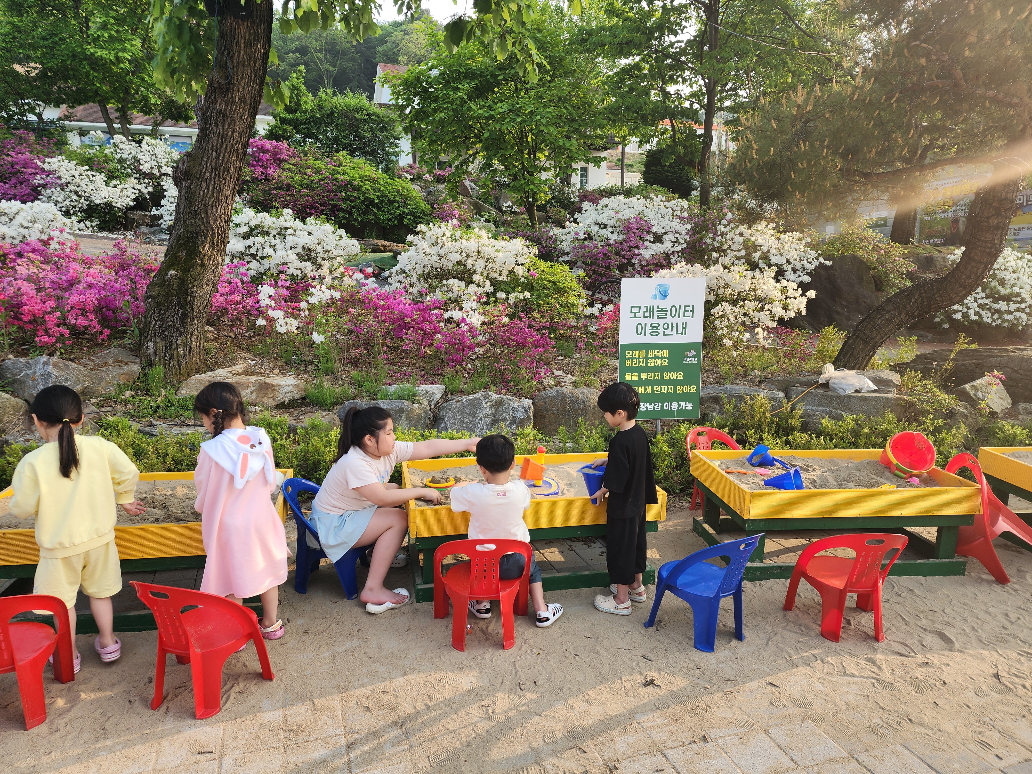 코알라캠핑장