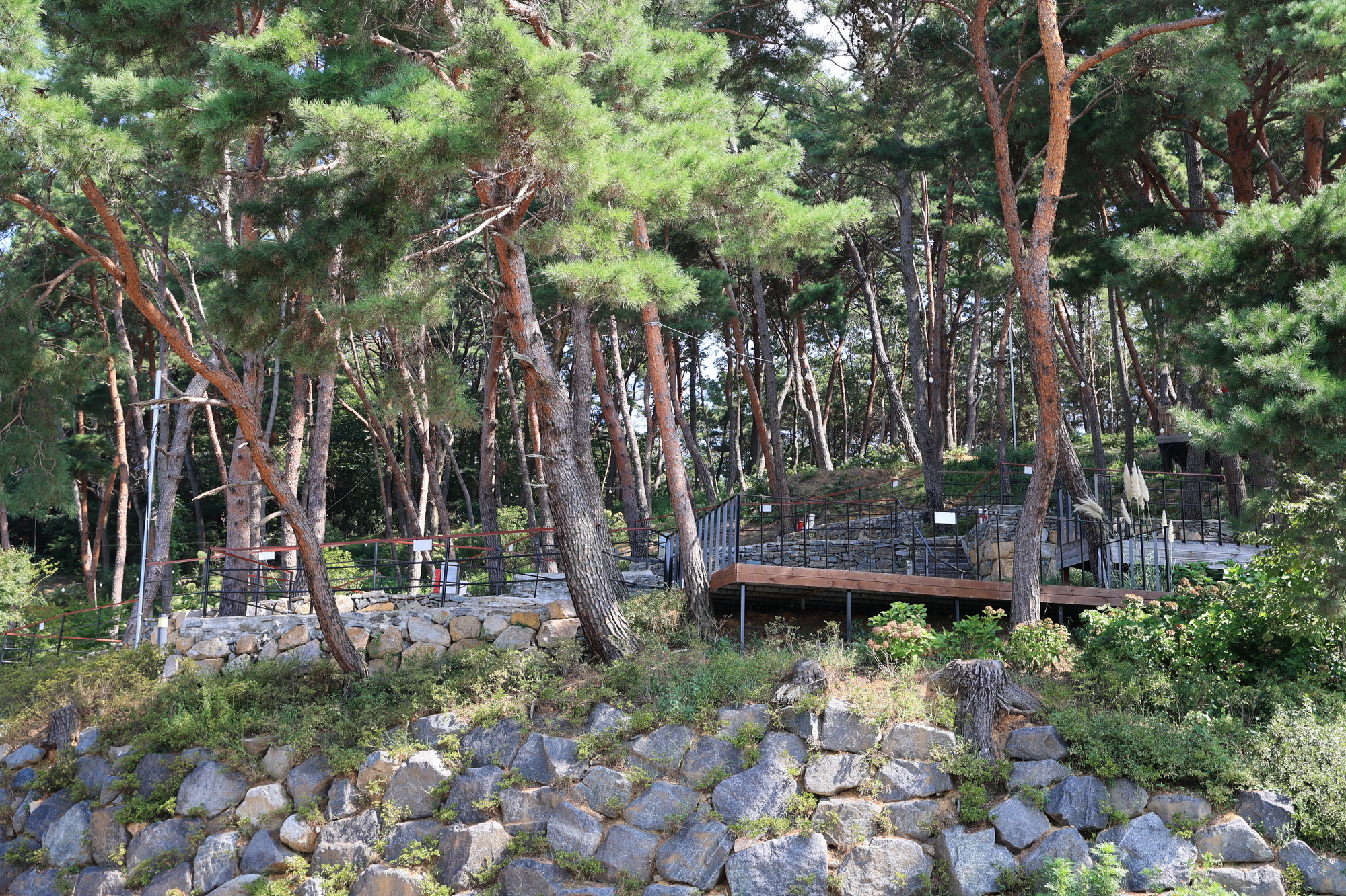 청춘별곡