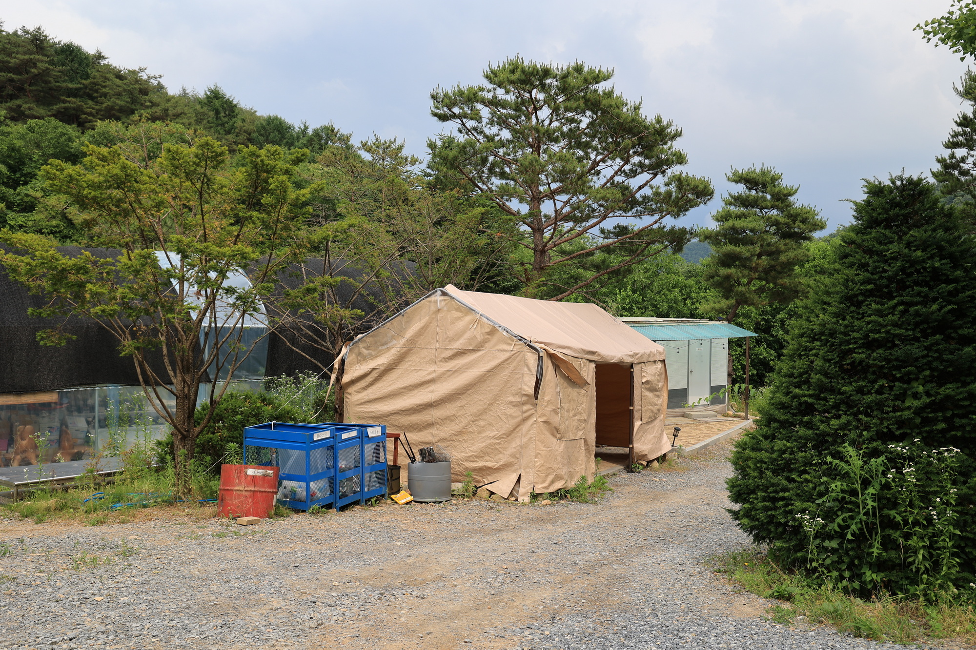 힐링인더 포레스트