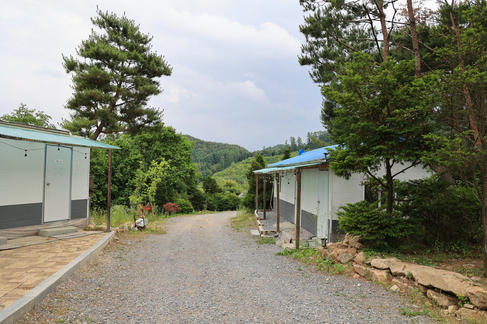 힐링인더 포레스트