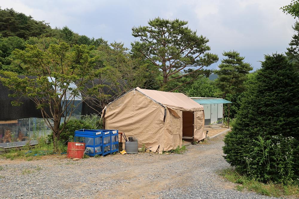 힐링인더 포레스트