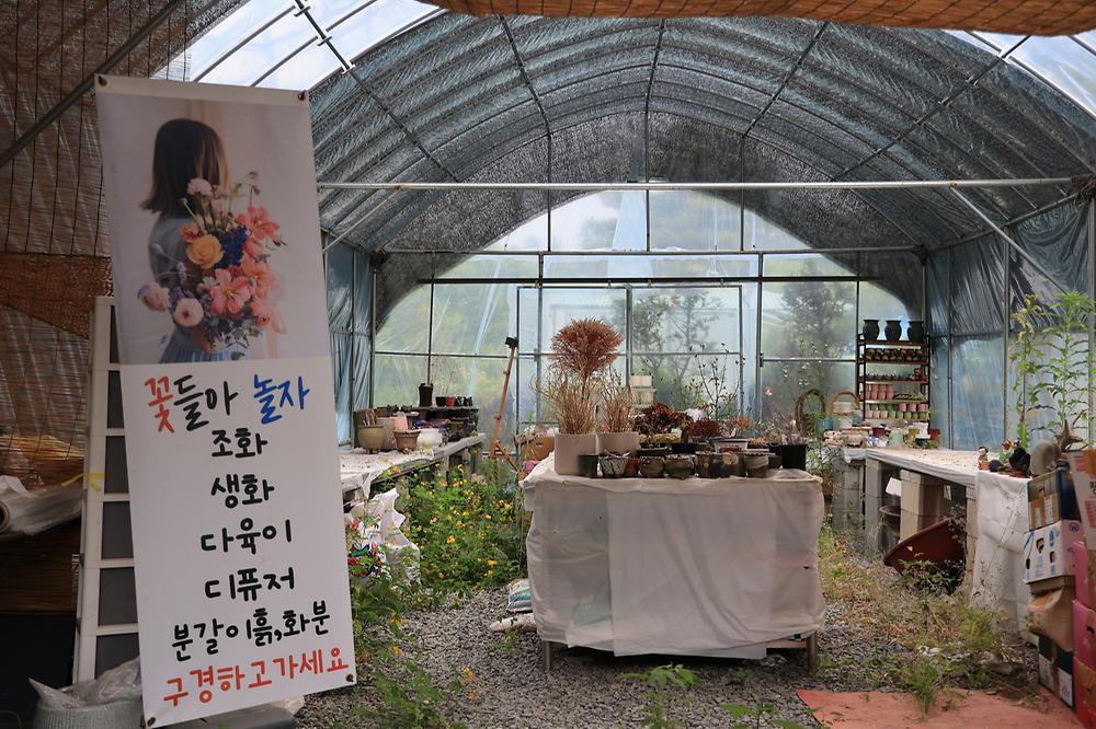힐링인더 포레스트