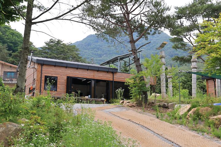 힐링인더 포레스트 메인 이미지