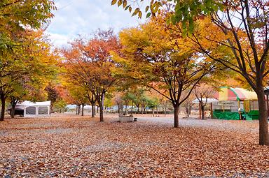 캠핑장소개 이미지