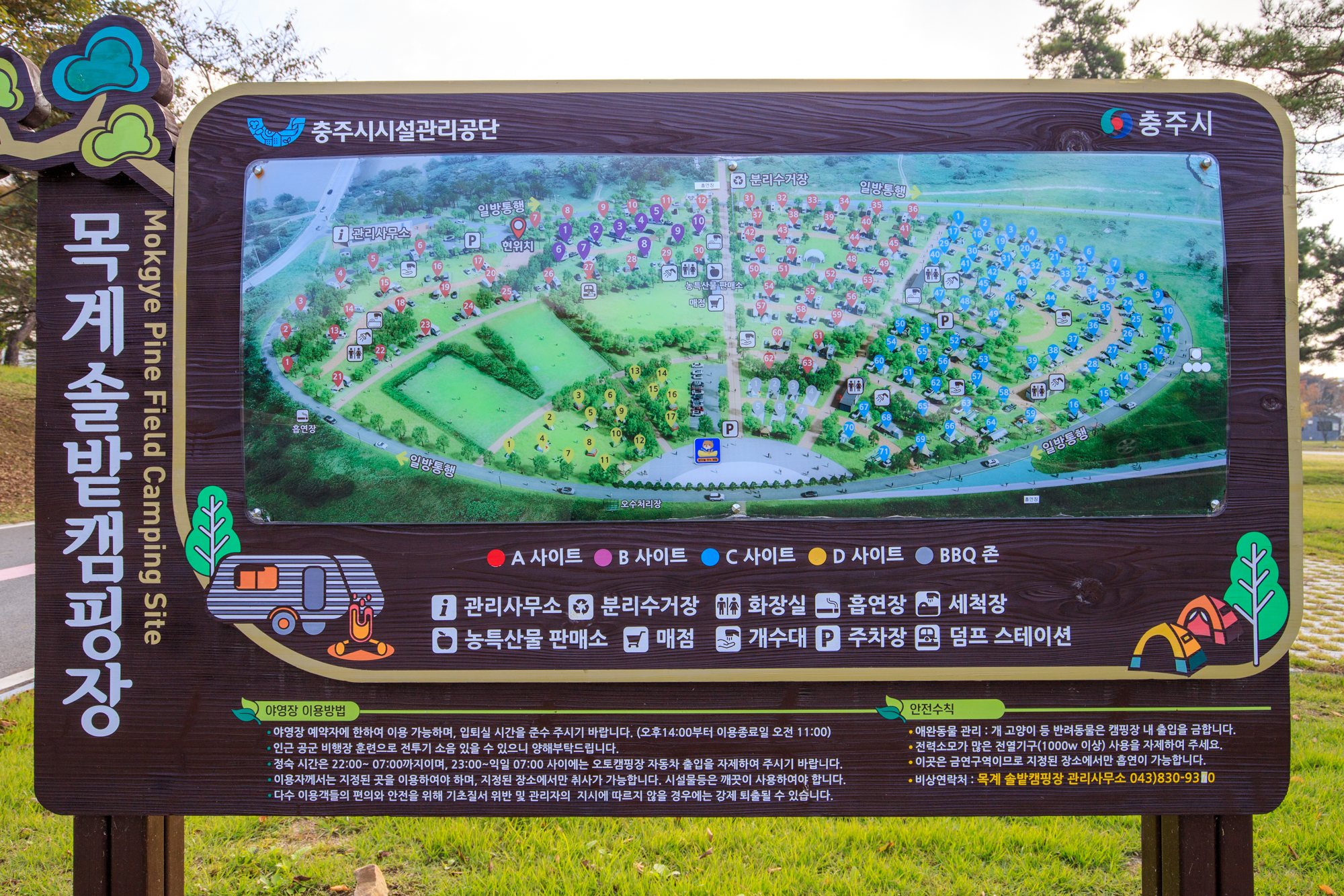 충주 목계솔밭 캠핑장