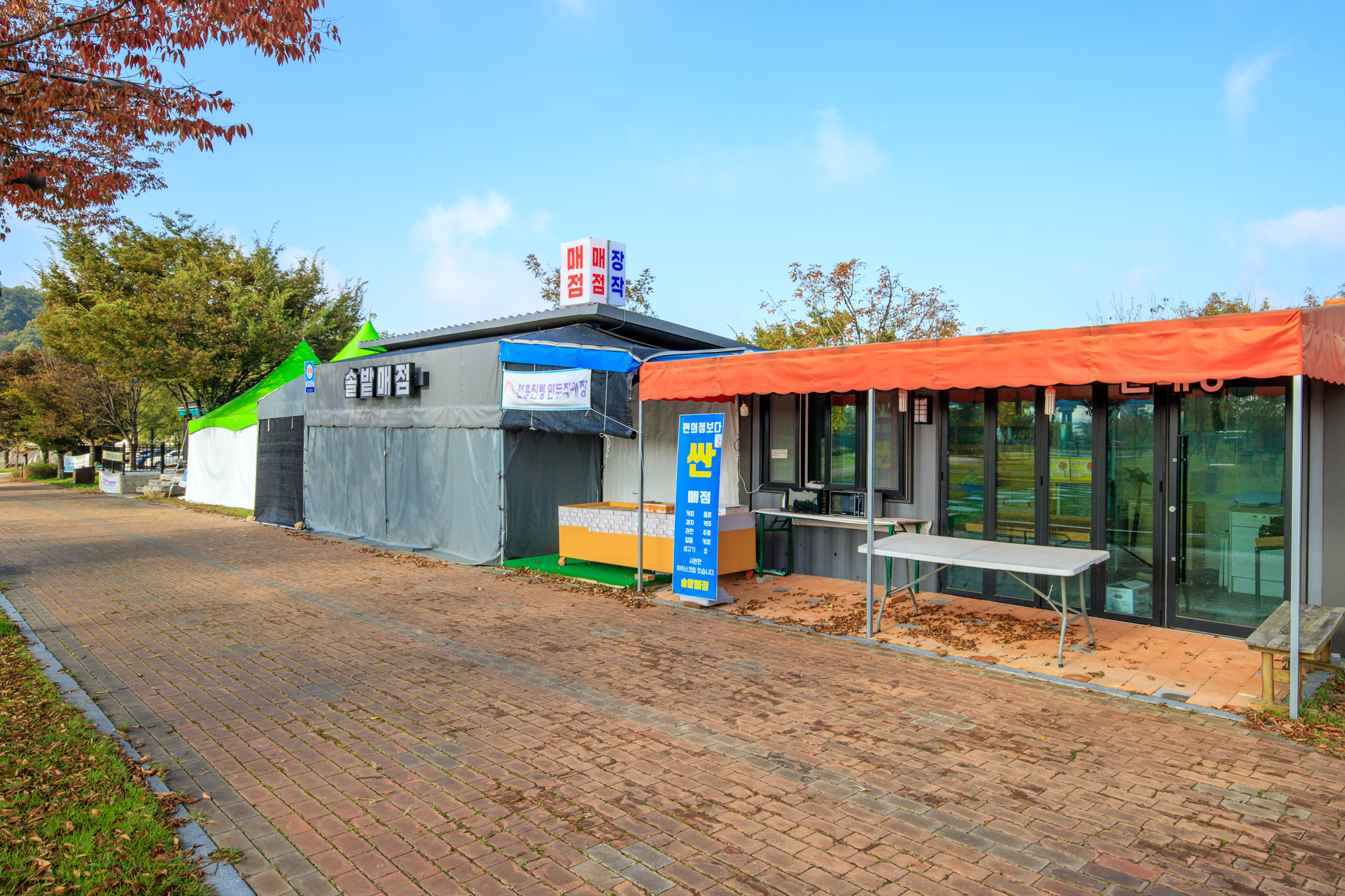 충주 목계솔밭 캠핑장