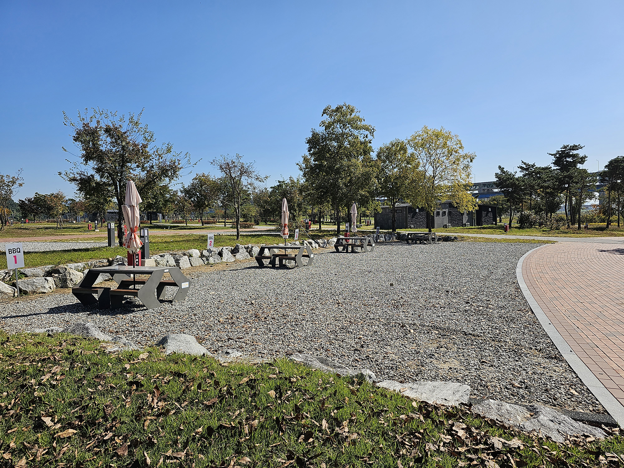 충주 목계솔밭 캠핑장