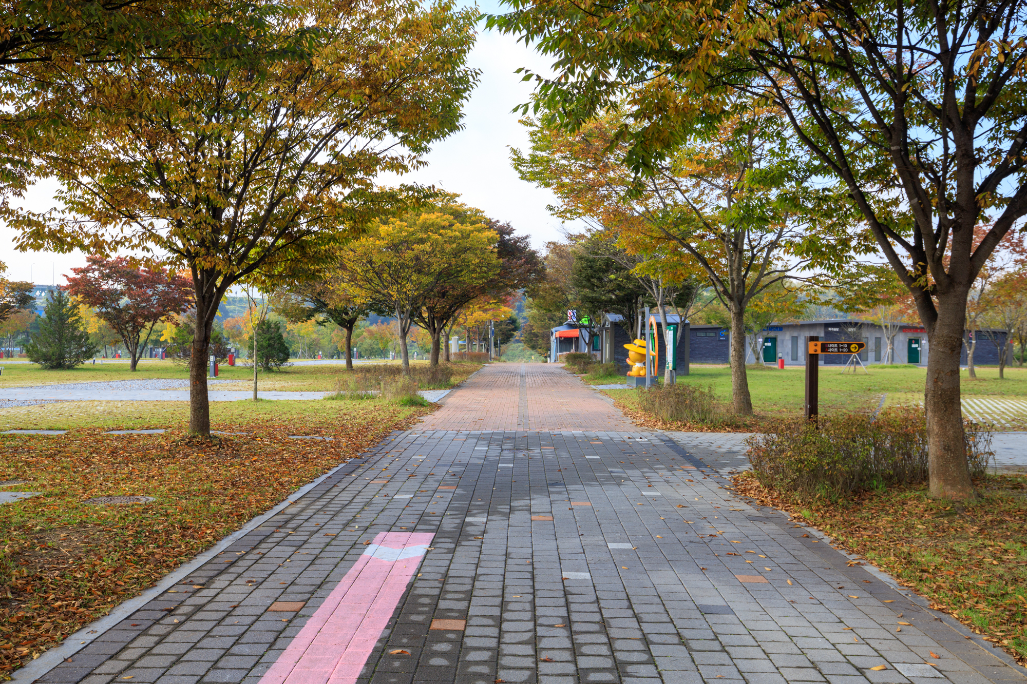 충주 목계솔밭 캠핑장