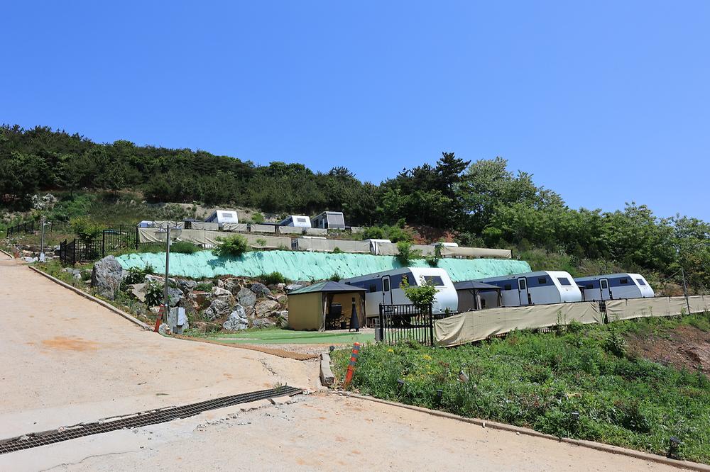 하버드카라반
