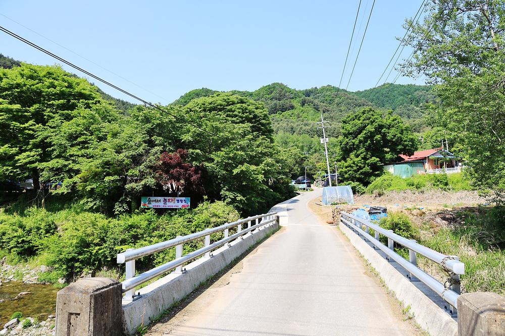 숲에서 놀자