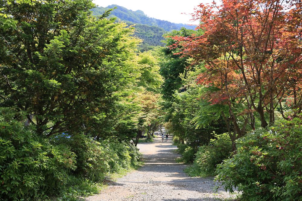 숲에서 놀자