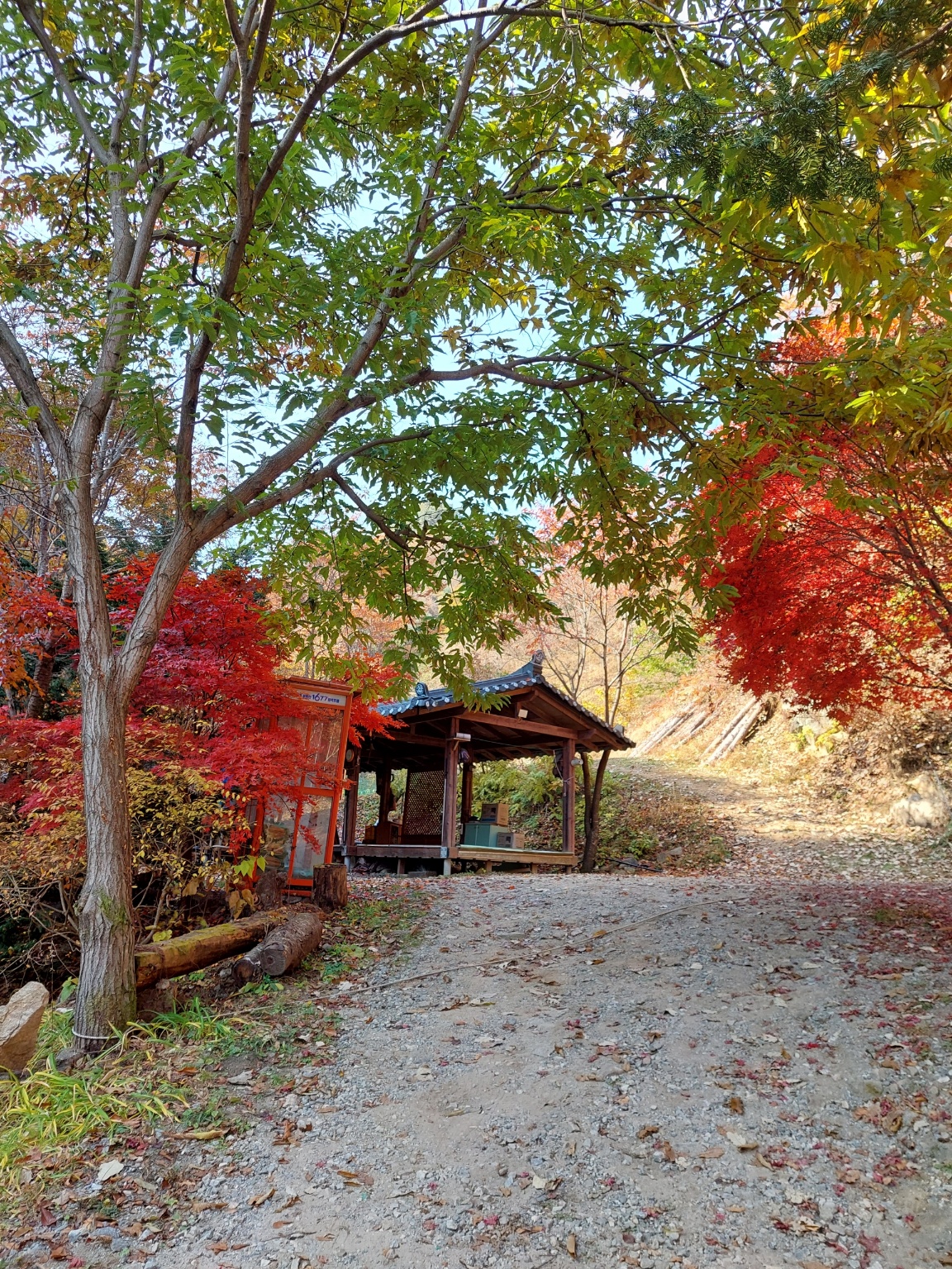 홍천에코밸리 캠핑장