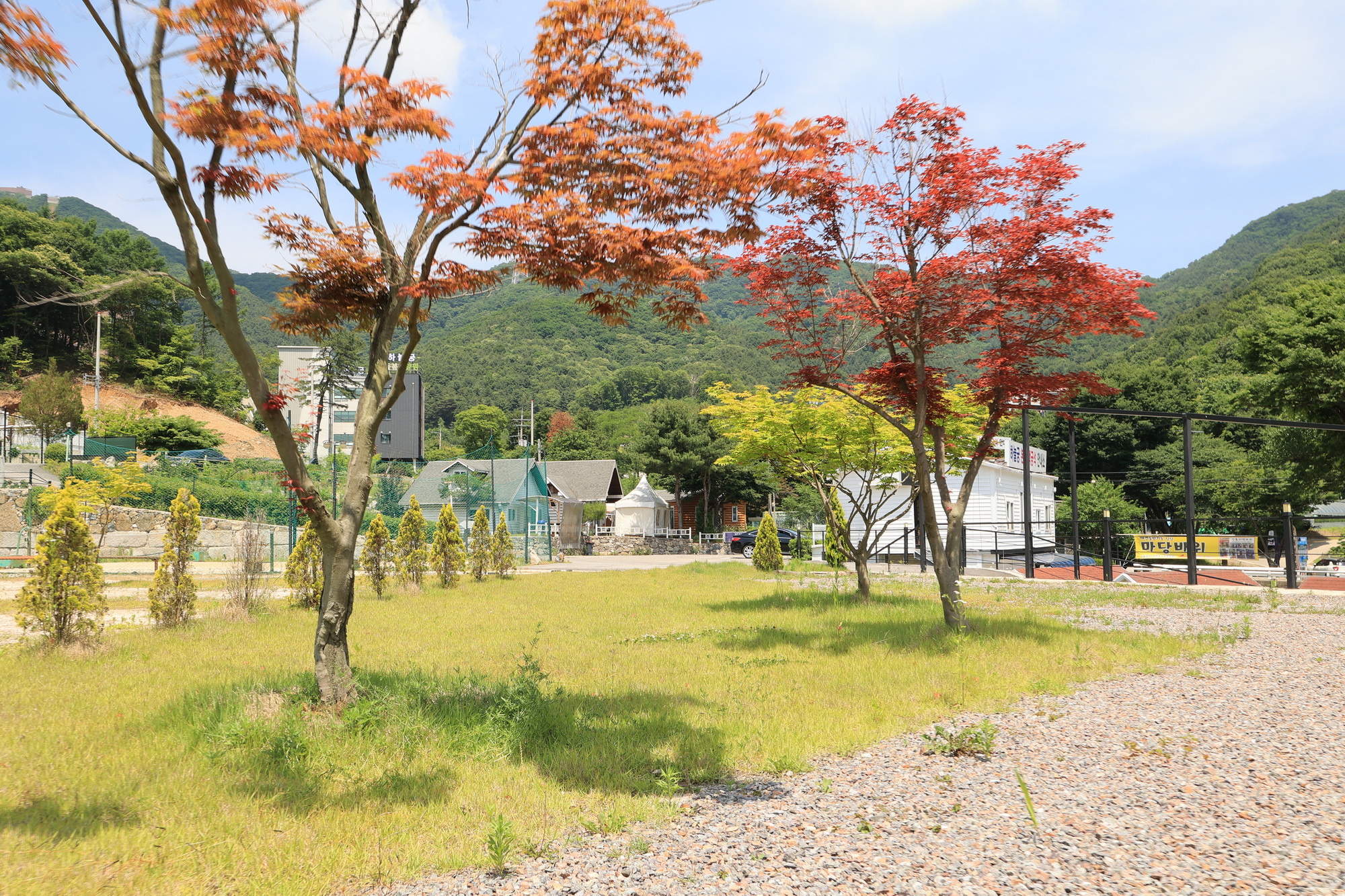 하늘궁 개명연수원 캠핑장