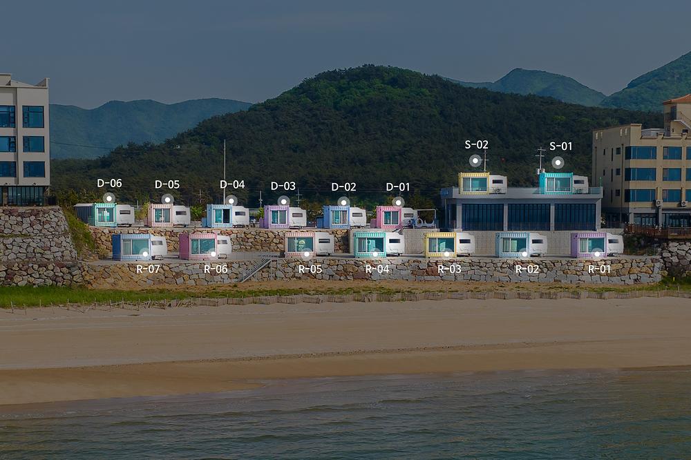 보니타 카라반