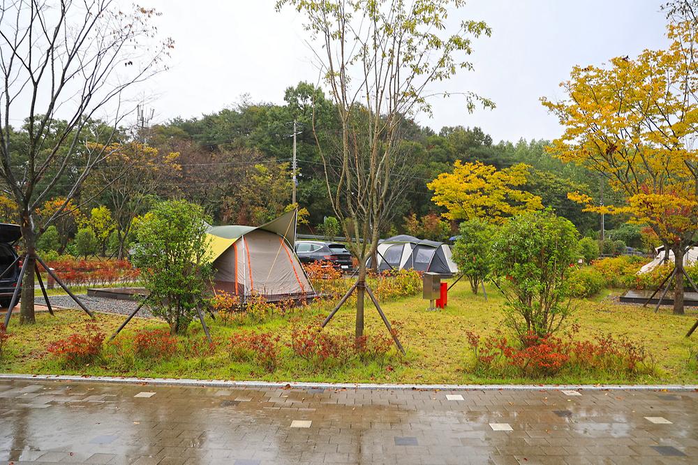함안군 온새미로 오토캠핑장